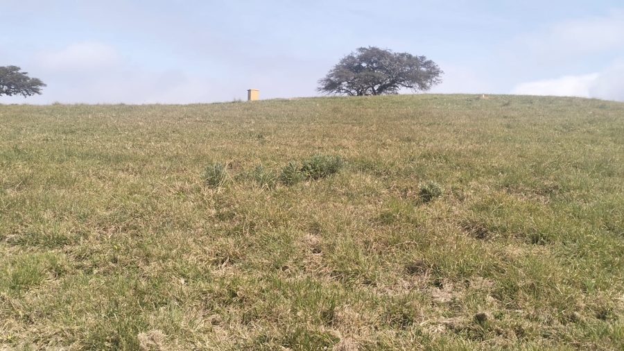 Commercial Property for Sale in Cintsa East Eastern Cape